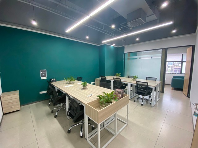 普陀观赏树木修剪管理